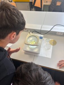 WhatsApp Image 2026-04-08 at 15.33.09 (2)