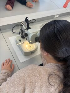 WhatsApp Image 2026-04-08 at 15.33.09 (3)